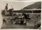 Sortie pêche